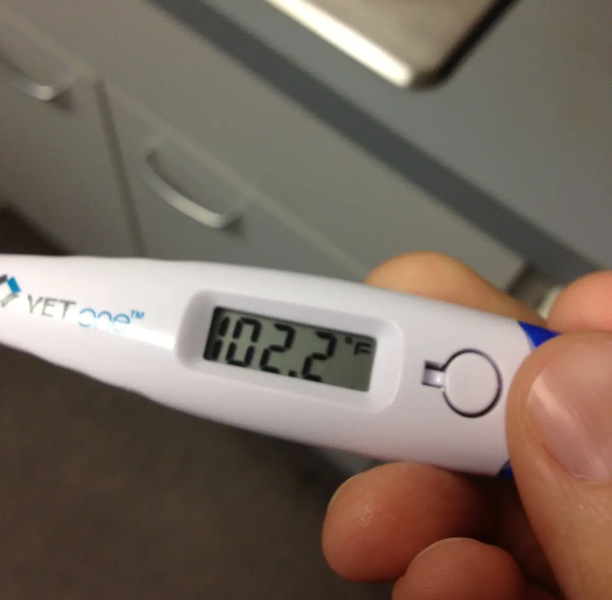 A thermometer showing temperature